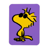 Woodstock Cool Sunglasses Pattern