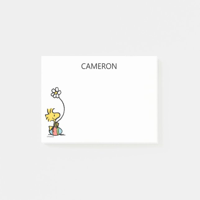 Woodstock Easter Egg Post-it Notes (Front)