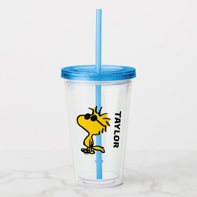 Woodstock In Sunglasses Acrylic Tumbler (Front)