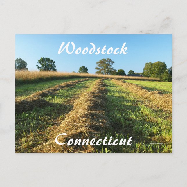Woodstock Postcard (Front)