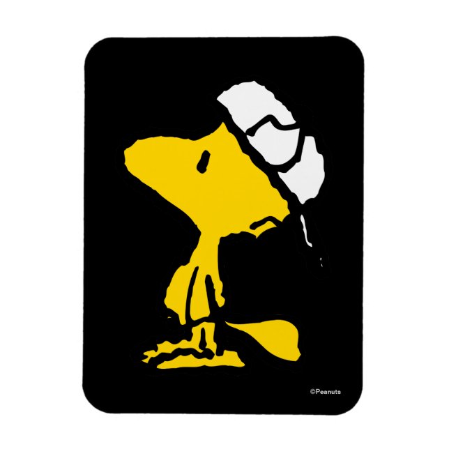 Woodstock Varsity Sports Letter Pattern Magnet (Vertical)