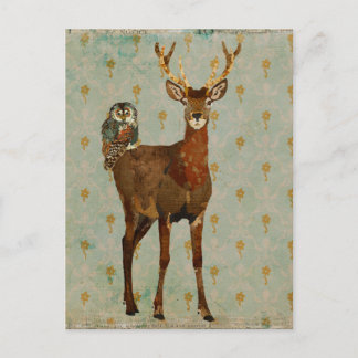 Woodsy Elk & Teal Owl Damask Postcard