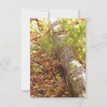 Woodsy Log Note Card