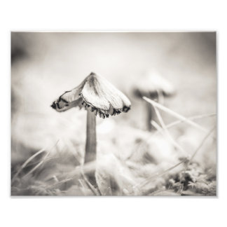 Woodsy Mushroom Black and White Fine Art Photo Print