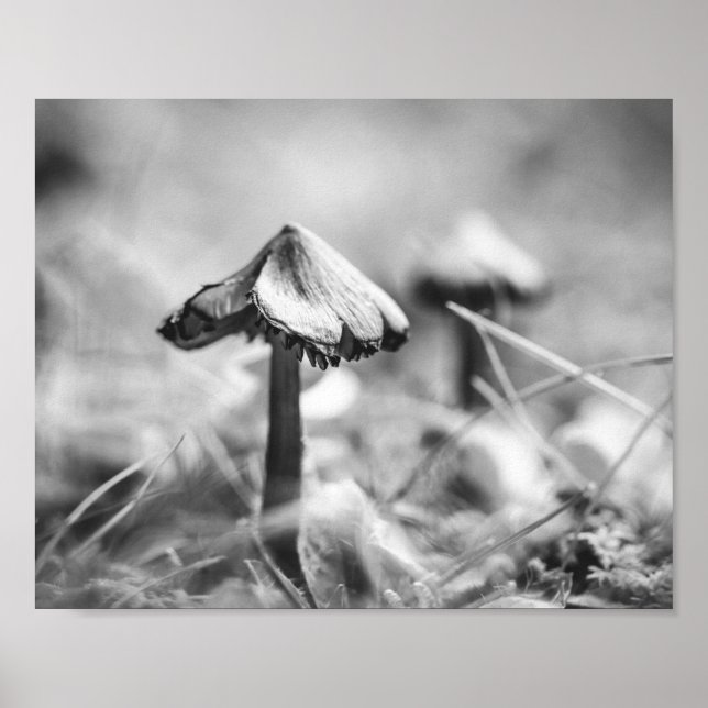 Woodsy Mushroom Black and White Nature Archival Poster (Front)