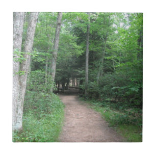 Woodsy Trail Tile