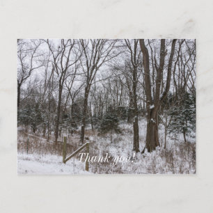 Woody Snow Day Postcard
