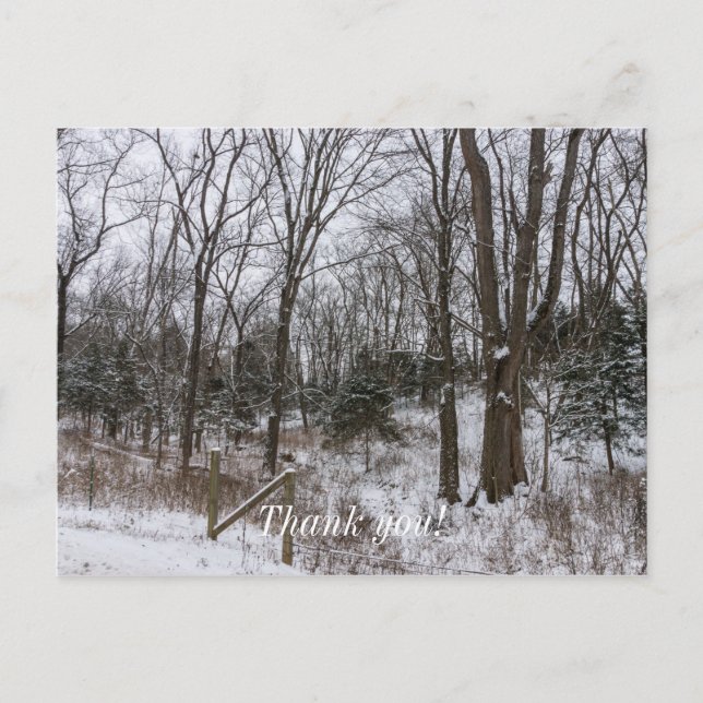 Woody Snow Day Postcard (Front)