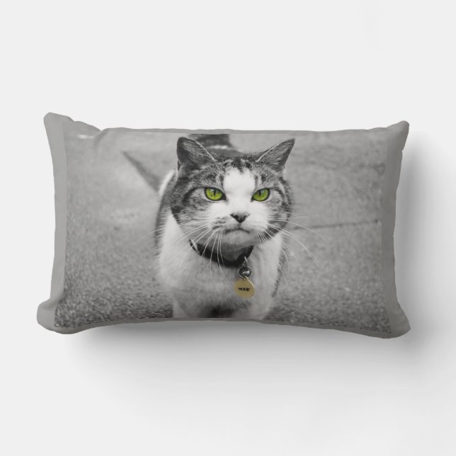 Woof Lumbar Cushion (Front)