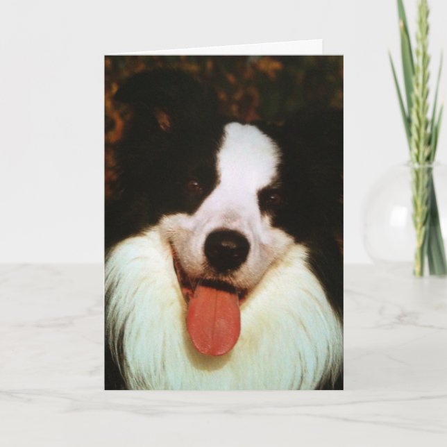 WOOF WOOF HAPPY BIRTHDAY HONEY CARD (Front)