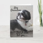 **WOOF WOOF** HAPPY *BIRTHDAY* TO MY *GRANDSON* CARD<br><div class="desc">TO THE **BEST GRANDSON EVER*** HAPPY BIRTHDAY AND I AM SO HAPPY YOU ARE "MY BROTHER"!!!! THANK YOU FOR STOPPING BY ONE OF MY EIGHT STORES!!!</div>