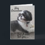 **WOOF WOOF** HAPPY *BIRTHDAY* TO MY *GRANDSON* CARD<br><div class="desc">TO THE **BEST GRANDSON EVER*** HAPPY BIRTHDAY AND I AM SO HAPPY YOU ARE "MY BROTHER"!!!! THANK YOU FOR STOPPING BY ONE OF MY EIGHT STORES!!!</div>
