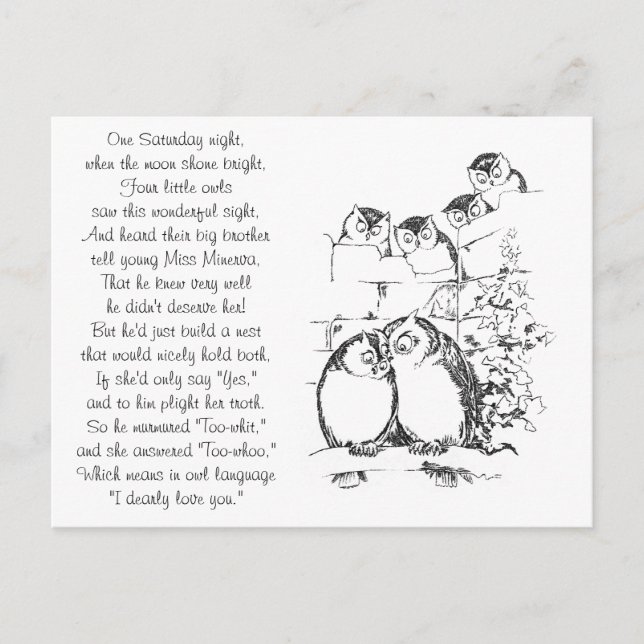 Wooing Owl Has an Audience Postcard (Front)