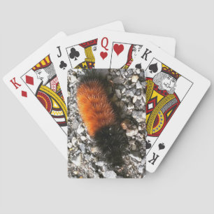 Woolly Bear Caterpillar Playing Cards
