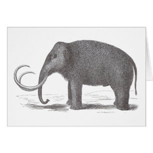 Woolly Mammoth Extinct Mastodon Antique Print