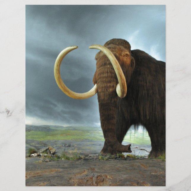 Woolly Mammoth Mod Destiny (Front)