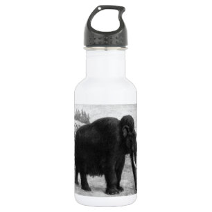 Woolly Mammoth Mod Destiny 532 Ml Water Bottle