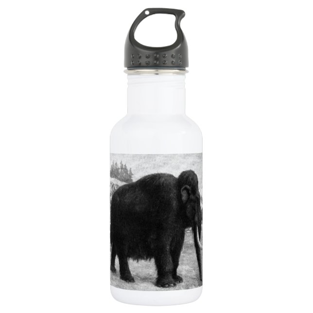Woolly Mammoth Mod Destiny 532 Ml Water Bottle (Front)