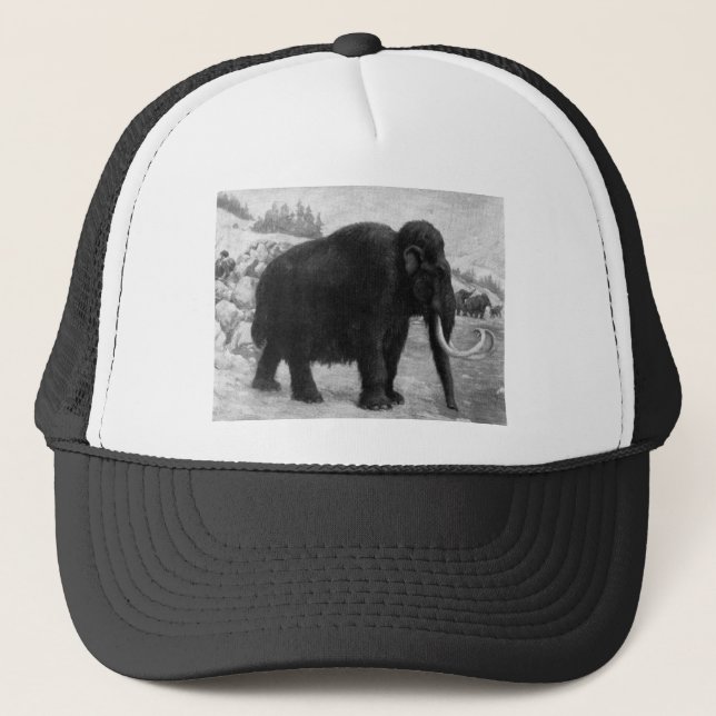Woolly Mammoth Mod Destiny Trucker Hat (Front)