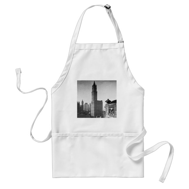 Woolworth Building Lower Manhattan New York City Standard Apron (Front)