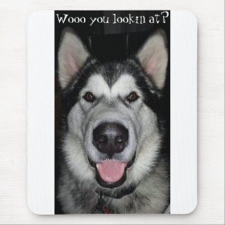 Wooo you lookin at? Alaskan Malamute mouse pad. Mouse Pad