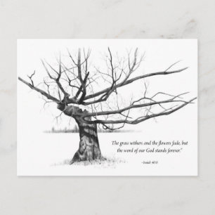 Word Of God Forever: Gnarled Tree in Pencil Postcard