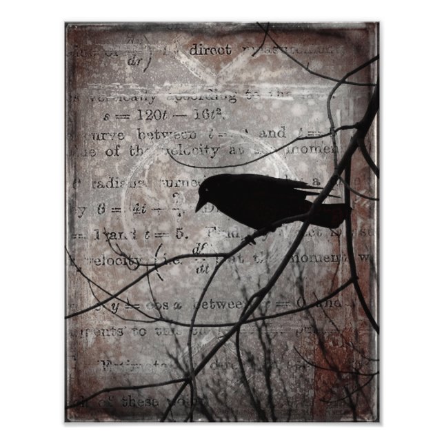 Words Of Crow Photo Print (Front)