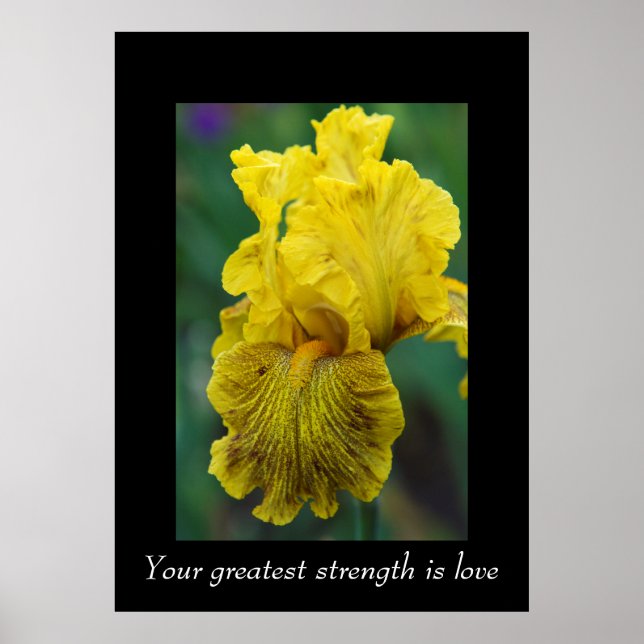 Words of Wisdom Poster (Front)