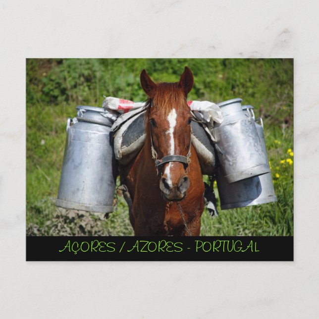 Work horse postcard (Front)