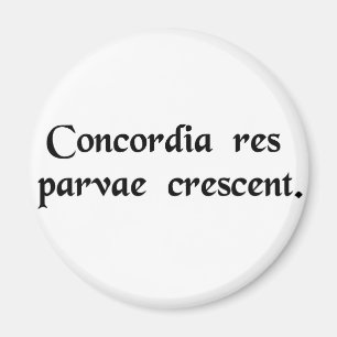 Work together to accomplish more magnet