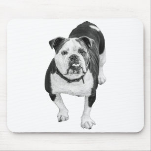 Workday Warmth, Bulldog Desk Pad Mouse Pad