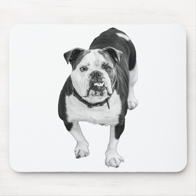Workday Warmth, Bulldog Desk Pad Mouse Pad (Front)