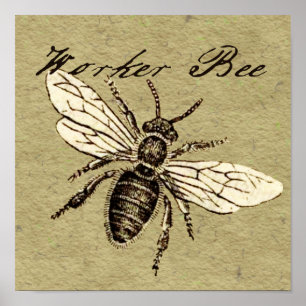 Worker Bee Poster