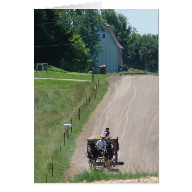 Working Amish Pinto Draughts On the Road (Front)