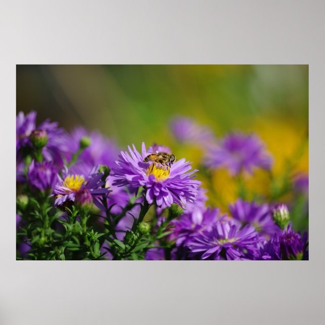 Working Bee Poster (Front)