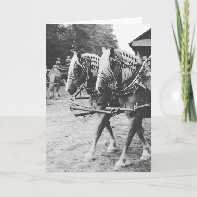 Working Draught Horses in Black and White Card (Front)