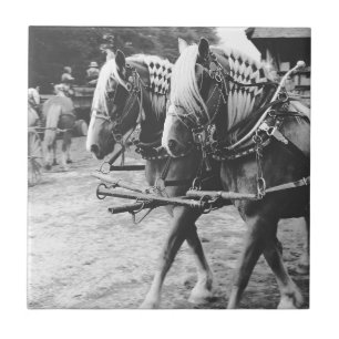 Working Draught Horses in Black and White Tile