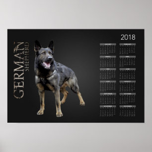 Working German Shepherd Dog - GSD Calendar 2018 Poster