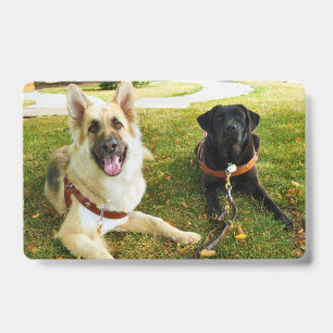 Working girls ID badge