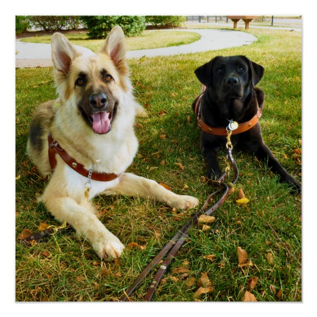 Working  girls   poster (Front)