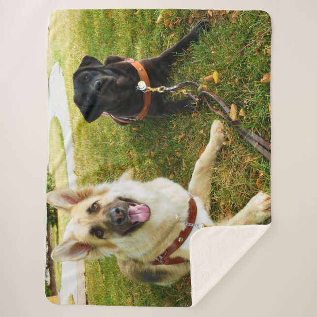 Working girls sherpa blanket (Front)