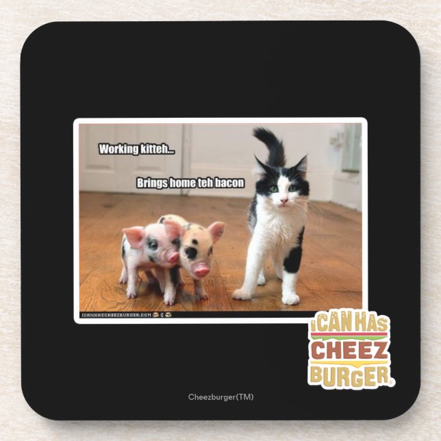 Working kitteh coaster (Front)