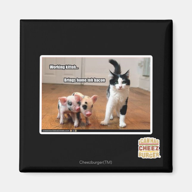 Working kitteh magnet (Front)