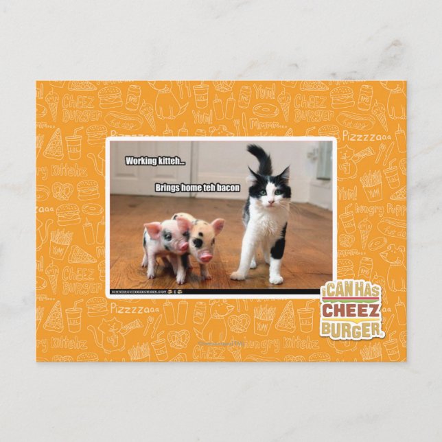 Working kitteh postcard (Front)