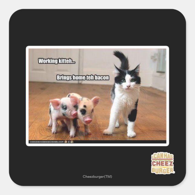 Working kitteh square sticker (Front)