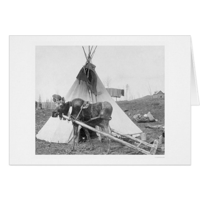 Working Moose Teepee 1916 (Front Horizontal)