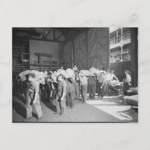 Working on the Banana Boat - Vintage Postcard