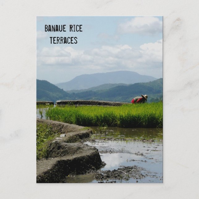 Working on the Terraces Postcard (Front)