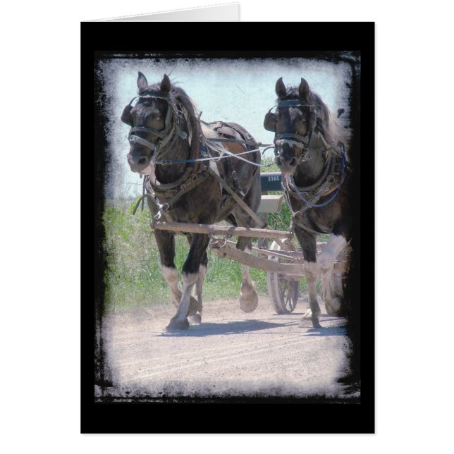 Working Pintos (Front)