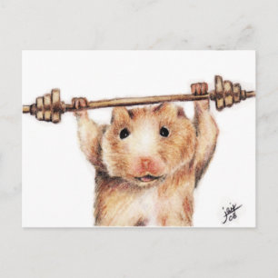 Workout (Hamster) Postcards
